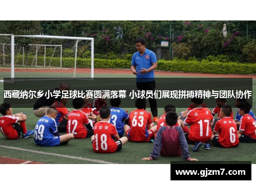 西藏纳尔乡小学足球比赛圆满落幕 小球员们展现拼搏精神与团队协作