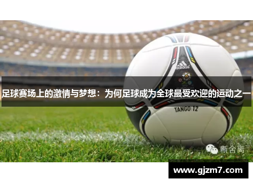 足球赛场上的激情与梦想：为何足球成为全球最受欢迎的运动之一